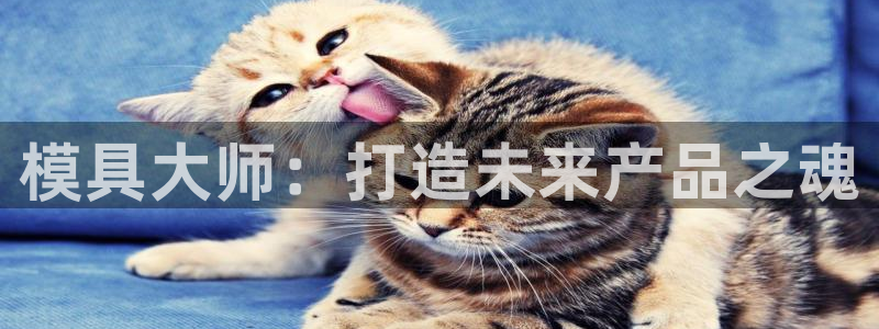 太阳集团网址首页：模具大师：打造未来产品之魂