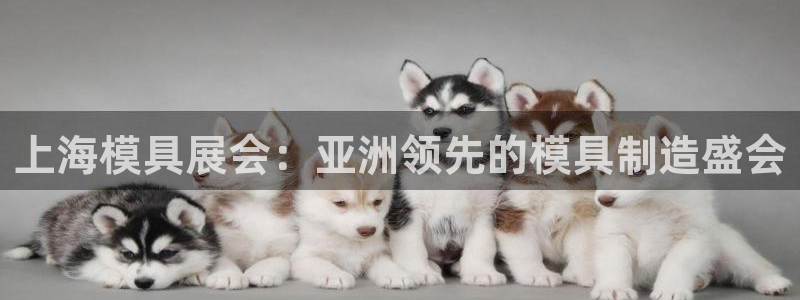 太阳集团网站5017：上海模具展会：亚洲领先的模具制造盛会