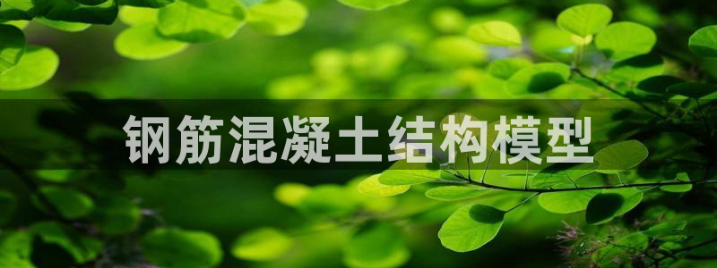 古天乐太阳集团网址：钢筋混凝土结构模型