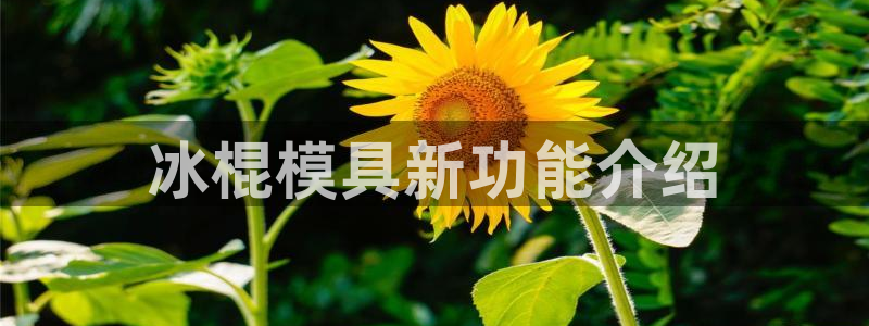 太阳成集团tyc7111cc下载手机版：冰棍模具新功能介绍