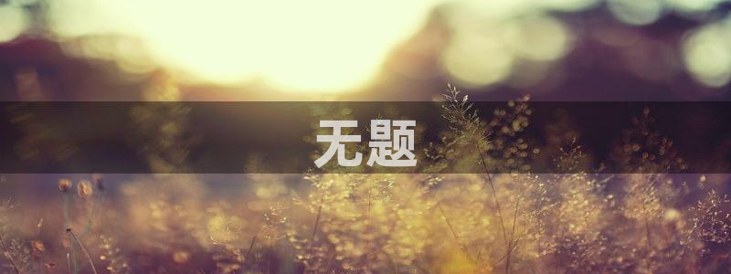 太阳集团2007：无题