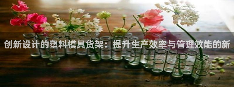 太阳gg官网登录：创新设计的塑料模具货架：提升生产效率与管理效能的新