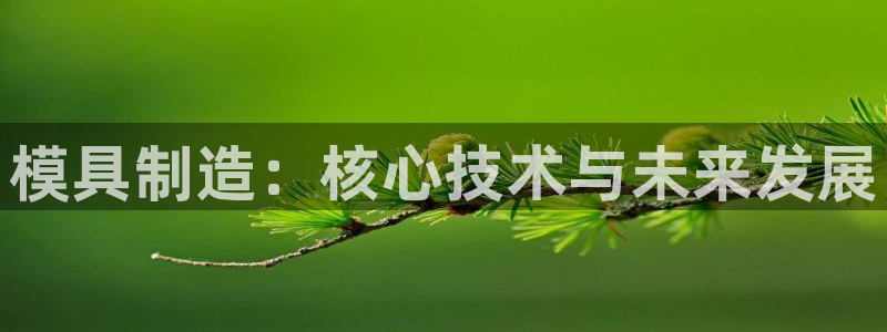 太阳成集团tyc3345：模具制造：核心技术与未来发展