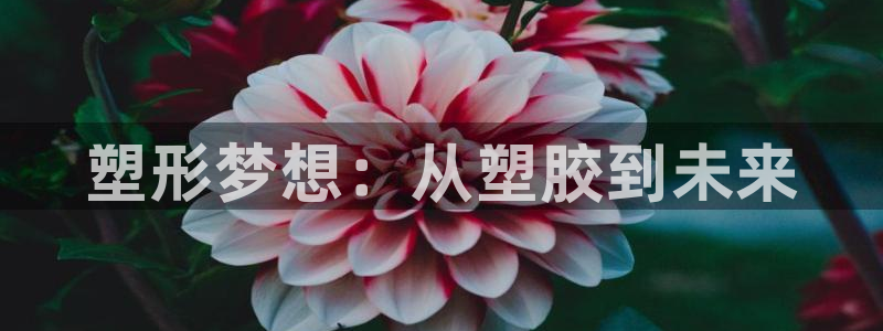 太阳集团网站：塑形梦想：从塑胶到未来