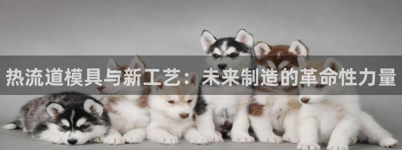 太阳集团是什么集团：热流道模具与新工艺：未来制造的革命性力量