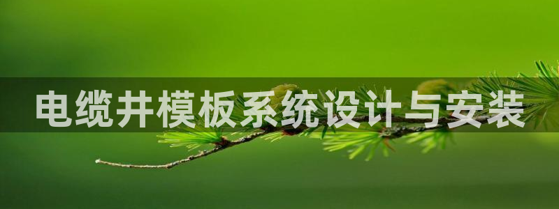 太阳集团城网址娱网首页：电缆井模板系统设计与安装
