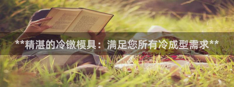 太阳集团游戏城：**精湛的冷镦模具：满足您所有冷成型需求**