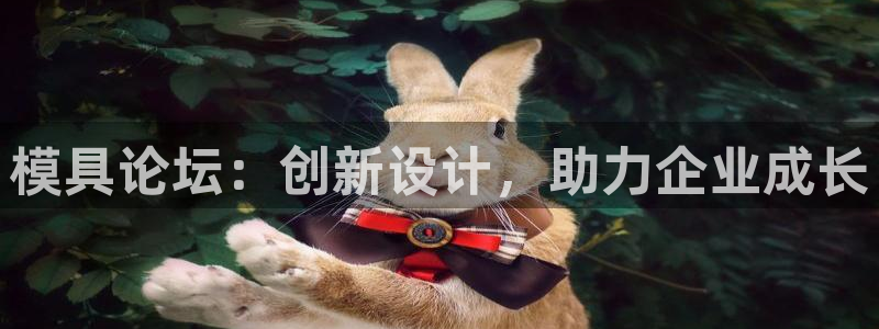 太阳成集团是什么：模具论坛：创新设计，助力企业成长