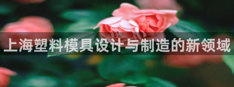 太阳gg娱乐胺44262：上海塑料模具设计与制造的新领域