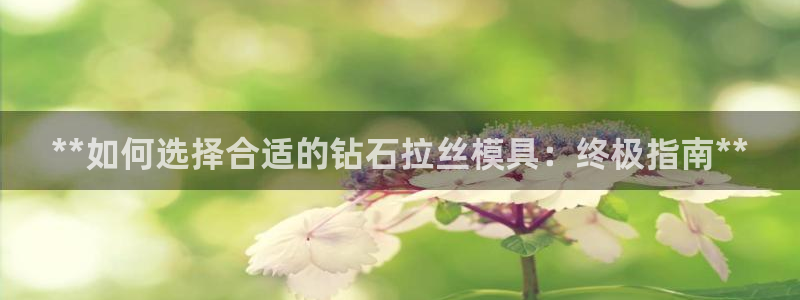 太阳诚集团所有网站：**如何选择合适的钻石拉丝模具：终极指南**