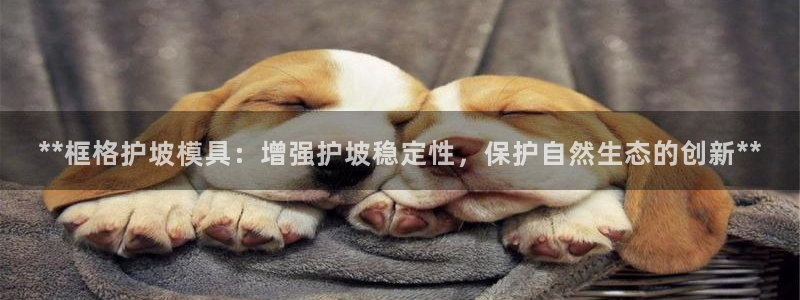 太阳成集团tyc33455cc：**框格护坡模具：增强护坡稳定性，保护自然生态的创新**