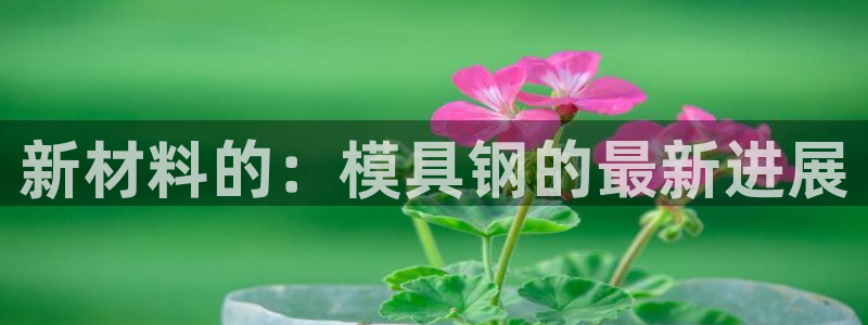 太阳诚集团有限公司地址：新材料的：模具钢的最新进展