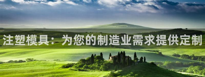太阳集团是什么电视剧：注塑模具：为您的制造业需求提供定制