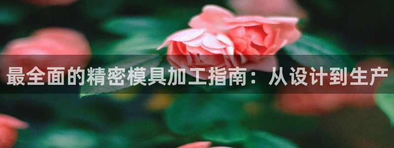 古天乐只有太阳能黑他：最全面的精密模具加工指南：从设计到生产