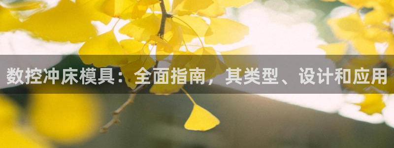 太阳成集团网站5