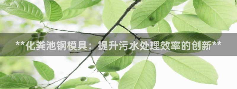 太阳集团app十佳平台有哪些：**化粪池钢模具：提升污水处理效率的创新**