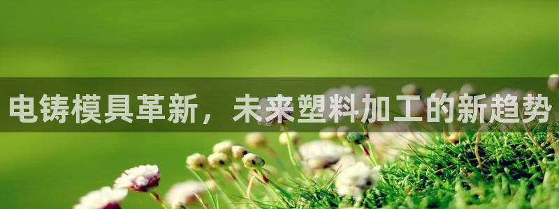 太阳gg登录地址：电铸模具革新，未来塑料加工的新趋势