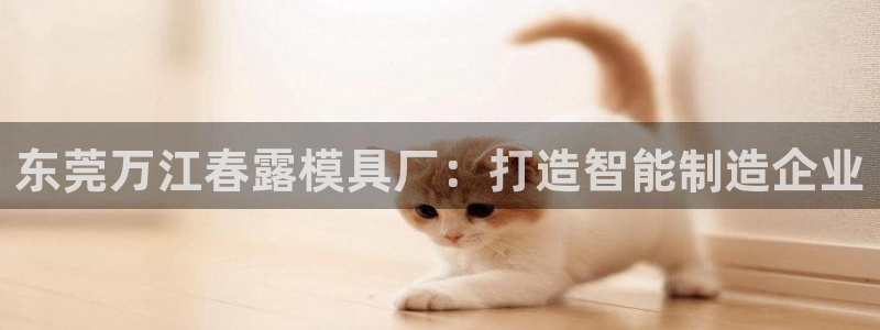 太阳成集团tyc1050：东莞万江春露模具厂：打造智能制造企业