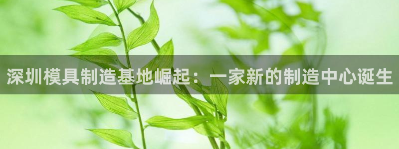 太阳成集团tyc234cc[主页]：深圳模具制造基地崛起：一家新的制造中心诞生