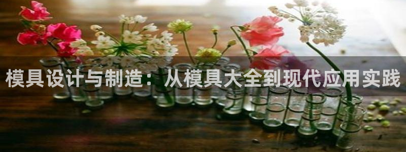 太阳c集团：模具设计与制造：从模具大全到现代应用实践