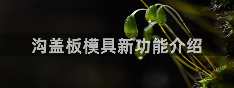 太阳集团城网址娱网 - 太阳集团电子游戏：沟盖板模具新功能介绍