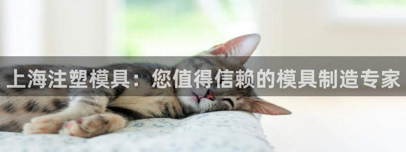 太阳集团app首页：上海注塑模具：您值得信赖的模具制造专家