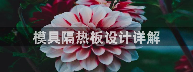 太阳诚集团有限公司是国企吗还是央企：模具隔热板设计详解