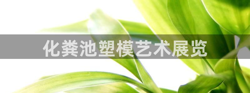 太阳集团app首页：化粪池塑模艺术展览