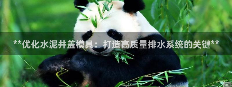古天乐和太阳集团谁厉害：**优化水泥井盖模具：打造高质量排水系统的关键**