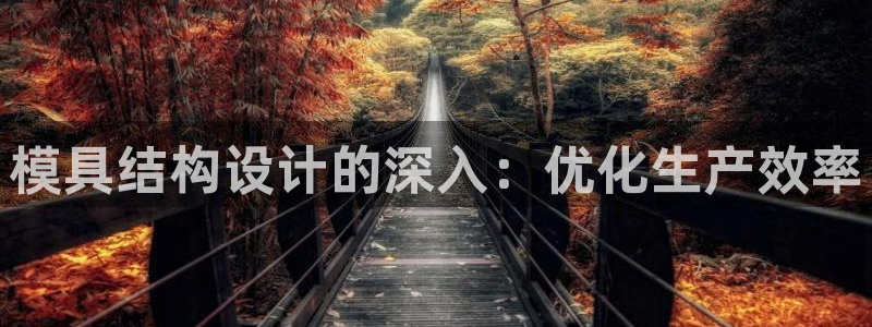 太阳成集团tyc234cc[主页]网：模具结构设计的深入：优化生产效率