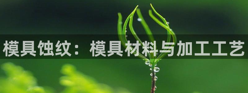 太阳集团网站游戏