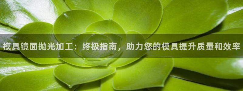 太阳集团股份有限公司：模具镜面抛光加工：终极指南，助力您的模具提升质量和效率