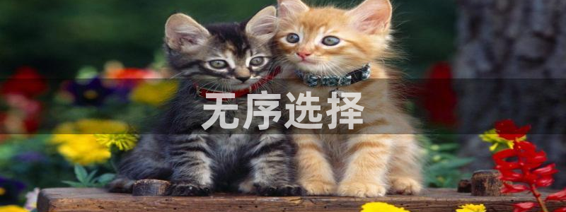 太阳集团古天乐：无序选择