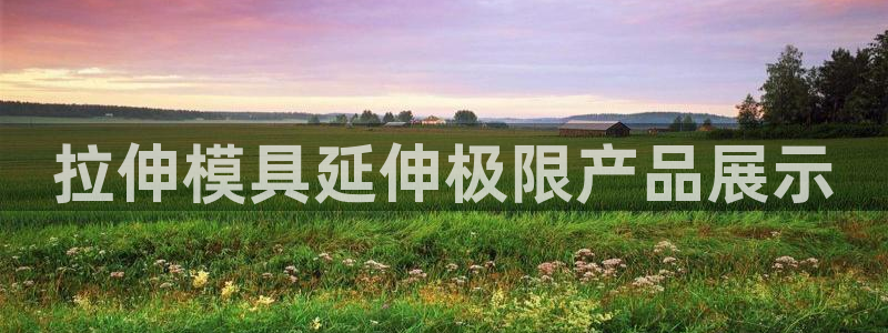 太阳成集团tyc7111cc的研发体系：拉伸模具延伸极限产品展示