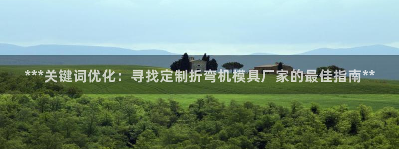063801太阳集团备用网址：***关键词优化：寻找定制折弯机模具厂家的最佳指南**