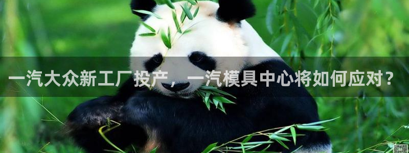 太阳成集团网站取款