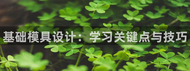 古天乐和太阳集团什么关系：基础模具设计：学习关键点与技巧