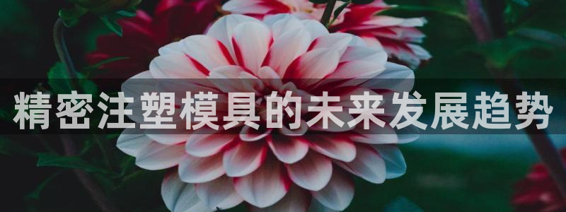 太阳集团古天乐代言：精密注塑模具的未来发展趋势