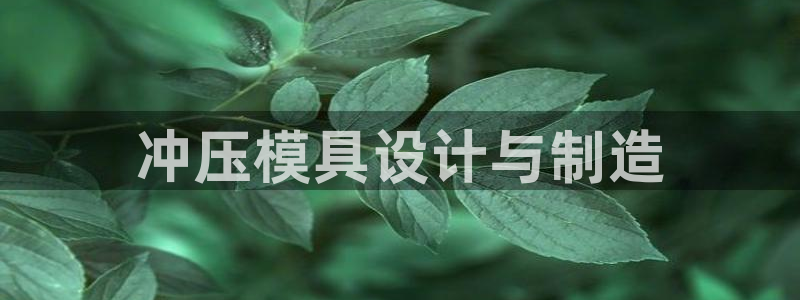 太阳2平台网址：冲压模具设计与制造