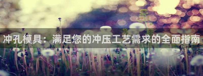 太阳成集团tyc1050：冲孔模具：满足您的冲压工艺需求的全面指南