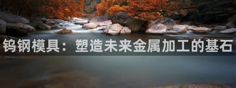 太阳app网页版：钨钢模具：塑造未来金属加工的基石