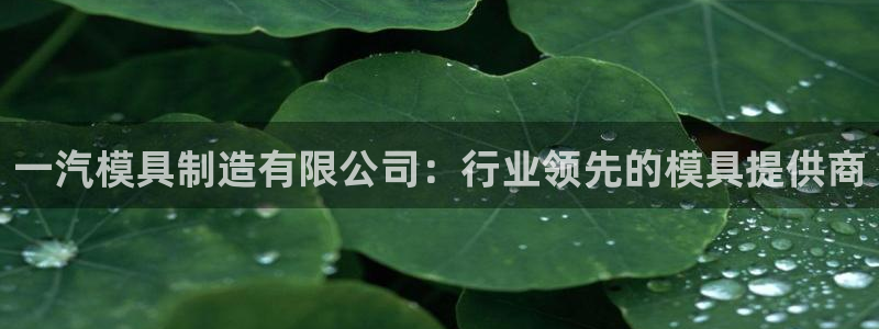 太阳成集团APP：一汽模具制造有限公司：行业领先的模具提供商