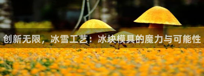 太阳集团电子游戏官网：创新无限，冰雪工艺：冰块模具的魔力与可能性