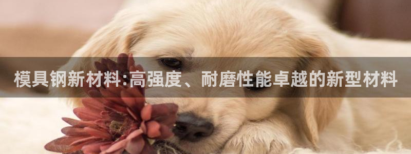 太阳集团网站入口官网首页