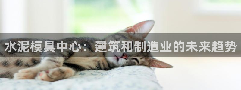 太阳集团董事长是谁呀：水泥模具中心：建筑和制造业的未来趋势