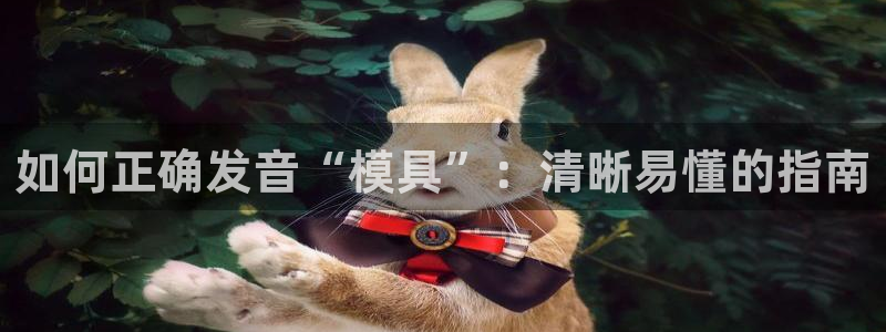 太阳gg平台：如何正确发音“模具”：清晰易懂的指南