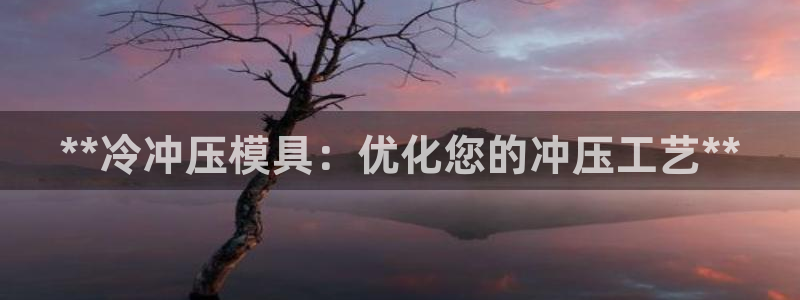 太阳集团网站游戏：**冷冲压模具：优化您的冲压工艺**