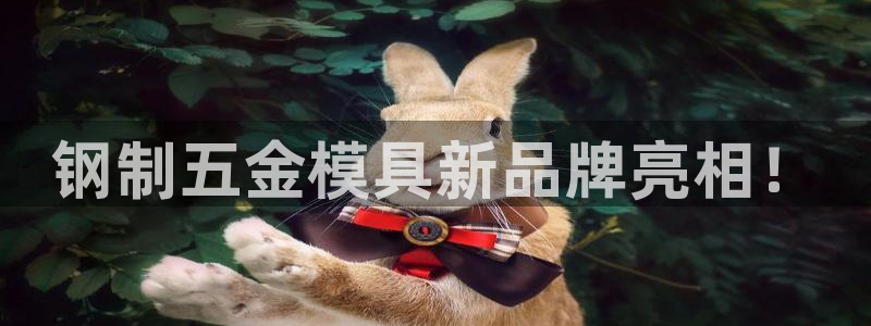 太阳诚集团网址：钢制五金模具新品牌亮相！