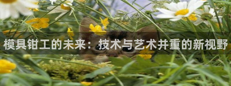 太阳集团娱乐官网8722：模具钳工的未来：技术与艺术并重的新视野