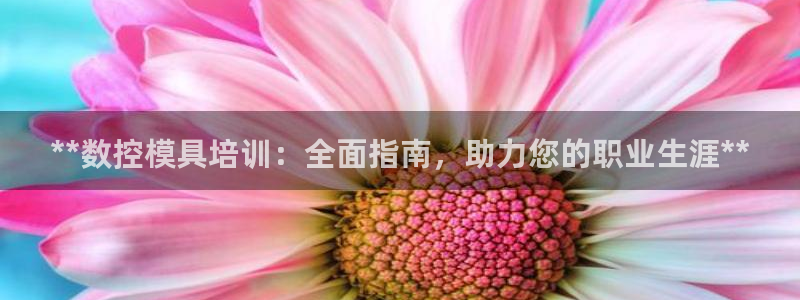 太阳集团城网站2017：**数控模具培训：全面指南，助力您的职业生涯**